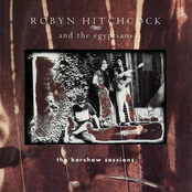 Lady Waters And The Hooded One by Robyn Hitchcock And The Egyptians