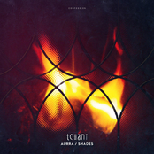 Tchami: Aurra / Shades