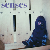 Senses