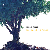 The Speed Of Trees by Ellis Paul