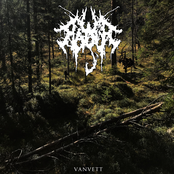 Vanvett