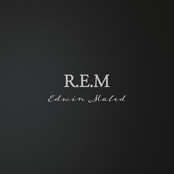 R.E.M