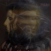 Carina Round: Tigermending