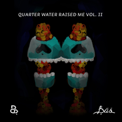 Quarter Water Raised Me Vol. II