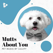Mutts About You