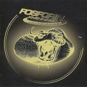 Fosforin Kivennäiset