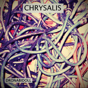 Chrysalis