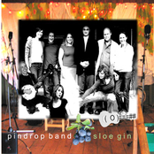 Sloe Gin by The Pindrop Band