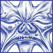 Lazy Suzan B/W Rules