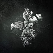 Echoes from the Bardo