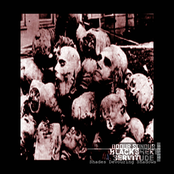 Shades Devouring Shadows