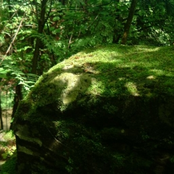 Moss Rock