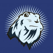 Catch the Buzz #$%&*_?