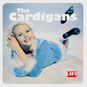 Fine by The Cardigans