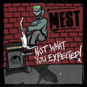 The Past by Mest