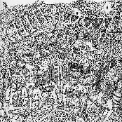 Vida Canchosa (10 Años)