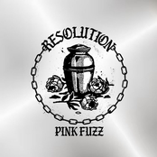 Pink Fuzz: Resolution