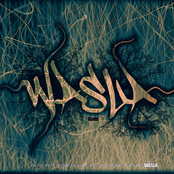 wasla band