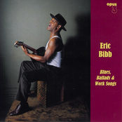 Take This Hammer by Eric Bibb