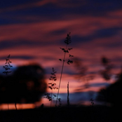 tongue twister cash cash