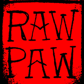 raw paw