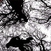 my life in the southern piss tank