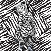 ZEBRA MAN
