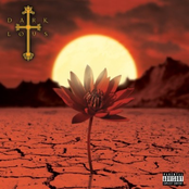 The Mud, Water, Air, and Blood