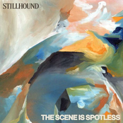 The Scene Is Spotless