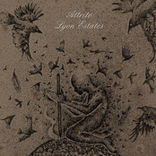 Attrito / Lyon Estates