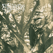 5 Historias de Muerte