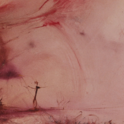 A Shelter For Stolen Teddybears