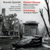 Schoenberg: Straus