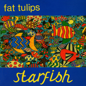 Ribs by Fat Tulips