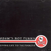 Living Life To The Foolest