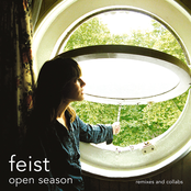 Gatekeeper (one Room One Hour Mix) by Feist