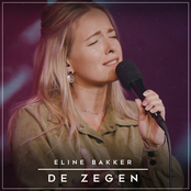 De Zegen (Live)