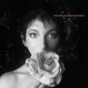 Kate Bush - The Sensual World Artwork