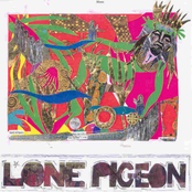 Long Way Down by Lone Pigeon