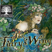 The Fairy's Wing