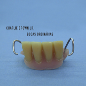 Com A Boca Amargando by Charlie Brown Jr.