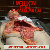 Anfiteatral Necroidolatria
