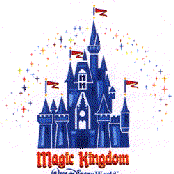 the magic kingdom