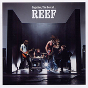 Say What You Want by Reef