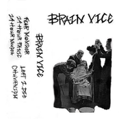 Brainvice