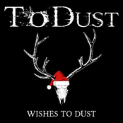 Wishes To Dust