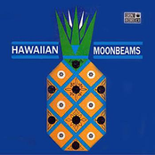 Swinging Palm Trees by Hawaiian Moonbeams