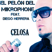 Celosa (feat. Diego Herrera) - Single