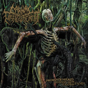 Carnal Disfigurement - Cadaveric Stench of Infecting Population