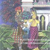 Electric Psychedelic Sitar Headswirlers Vol.8